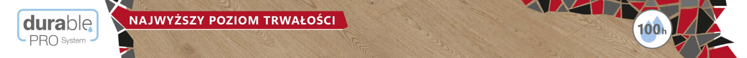 baner 2